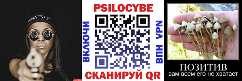 Галлюциногенные грибы прущие грибы  как найти закладки  Курчалой 
